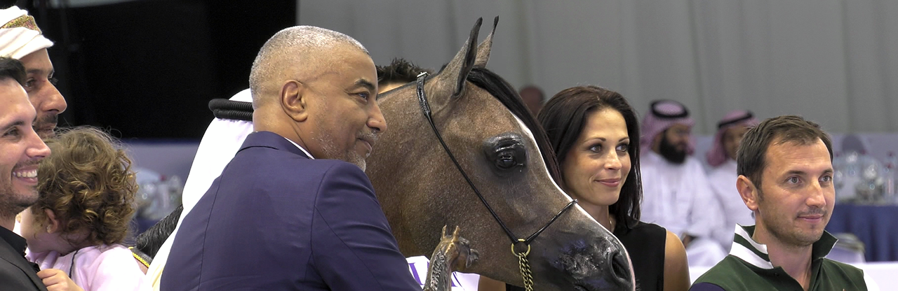 2016 Dubai International Arabian Horse Show